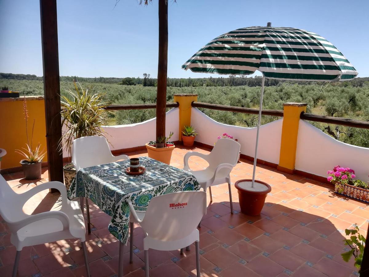 Casa Halcon Almonte