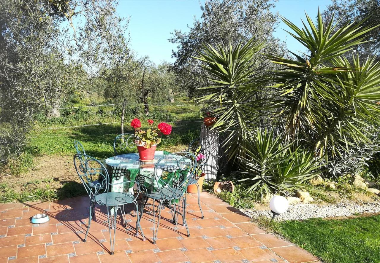 Farm stay Casa Halcon Almonte