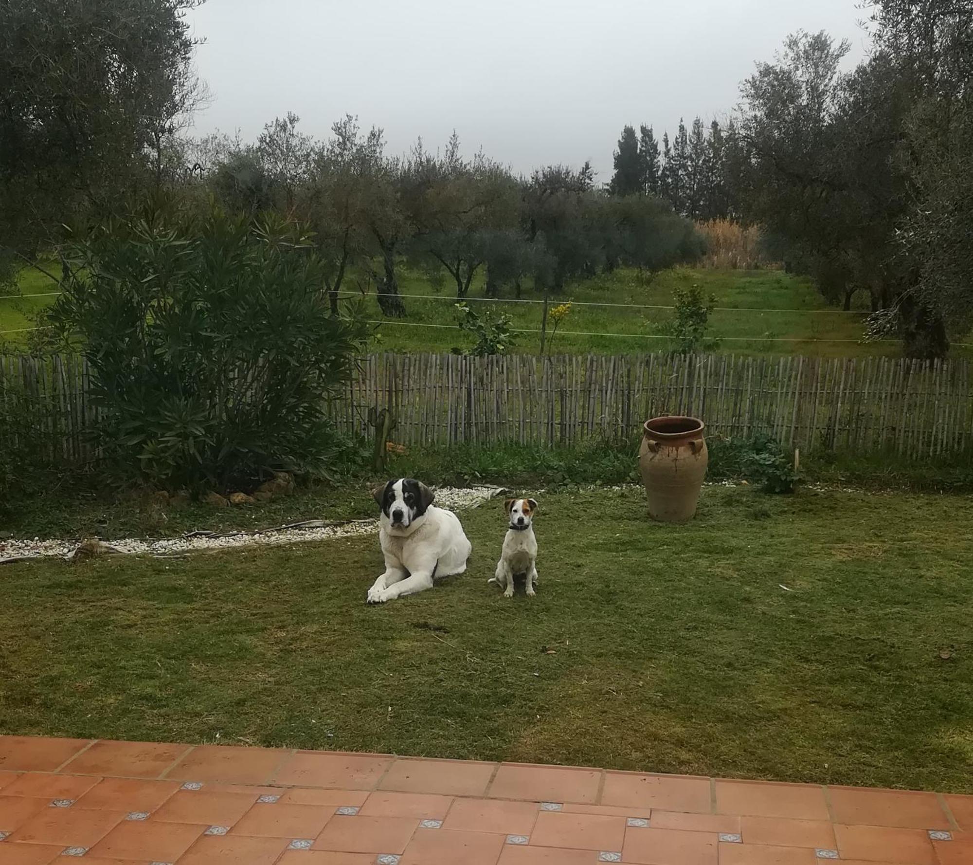 Farm stay Casa Halcon *