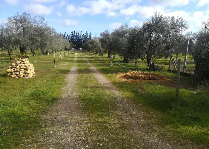 Finca Casa Halcon