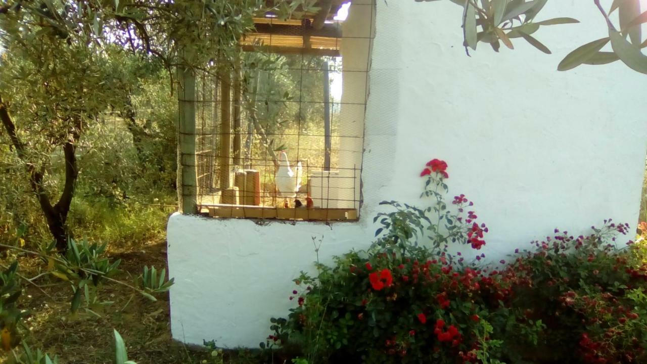 Farm stay Casa Halcon Almonte